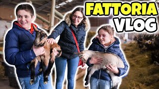 ANDIAMO IN FATTORIA a Prendere il Fieno per i Conigli: VLOG Famiglia GBR