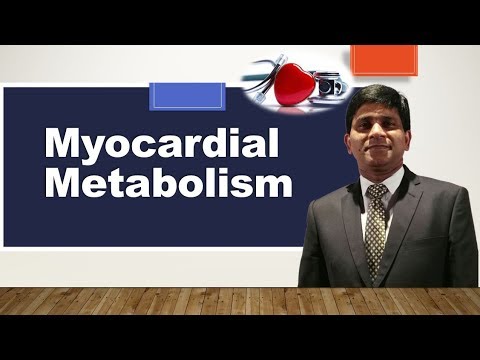 Myocardial metabolism