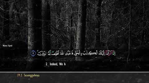 حالات واتس اب قرآن بصوت جميل جداً جداً القارئ هيثم الدخين🟣🔵اجمل حالات واتس اب دينية تلاوة خاشعة🟡🟢