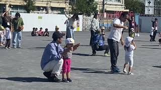 IMG 3723