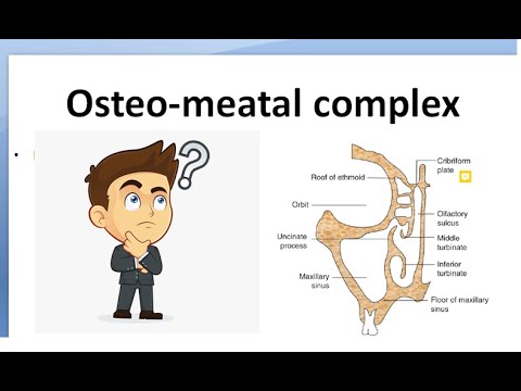 ENT OsteoMeatal Complex واحد concha bullosa uncinate infundibulum Hiatus semilunaris چیست