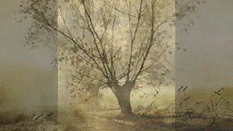 Seetyca & Thom Yeesland: Simplon