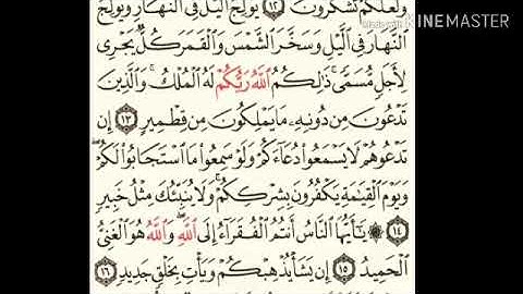سورة فاطر - من آية ( ١٢ ) إلى آية ( ١٨ ) - للقارئ : سعد الغامدي .