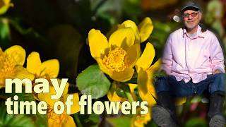 Spring! May Day Mothers Day Altar: First Flowers, Nature Walks, Garden