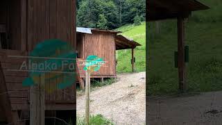 Ramsau Germany 🇩🇪