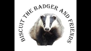 Biscuit the Badger and friends