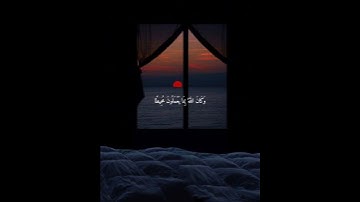 قرآن كريم راحة نفسية 🤍#محمودجمال #قران_كريم #اكسبلور #اكتب_شي_تؤجر_عليه #مالي_خلق_احط_هاشتاقات #لايك