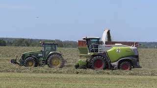 2 CLAAS JAGUAR ,JOHN DEERE ,HOWO, КАМАЗ на заготовке сенажа.