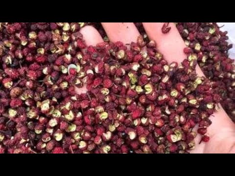 买花椒时，选红花椒还是青花椒？区别可大了，以后不要再乱买