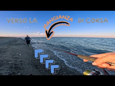 Dall’Alba al Tramonto: Light Jigging, Spinning con Gomme e un Finale Esplosivo!