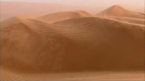 Sand, Wind and Camel