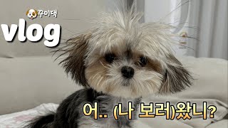 [vlog] 일상 브이로그(허브족발/하노이맥주밤거리/롱타임노씨/동두천 아쯔아쯔 료칸/김현아/두꺼비식당/파타고니아/뉴발ml610/언박싱/유성순대국/보리밥사이길로/김명자굴국밥)