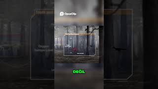 Spinosaurus The Impossible Dinosaur