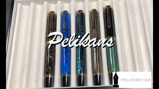 Pelikan M800 and M1000 Comparison