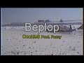 Cookie  beplop prod by fonzy lyric