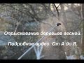 Опрыскивание деревьев весной.Подробное видео.От А до Я.