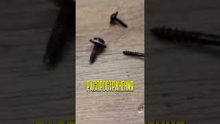 Инновационный спрей от ржавчины — растворение за 5 минут #шортс #топ #инструмент #обзор #ремонт