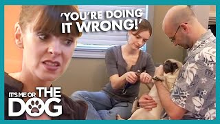 Why It's Important to Share the Dog Chores | It's Me or the Dog