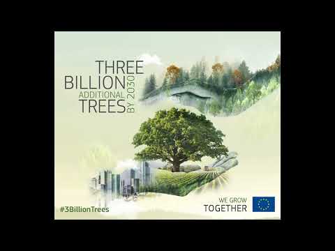 How to register planted trees as part of the EU 3 Billion Trees Pledge