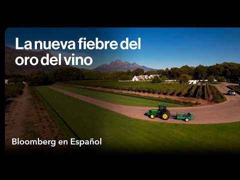 Inversores globales apuestan por las bodegas de Sudáfrica mientras el vino desacelera globalmente