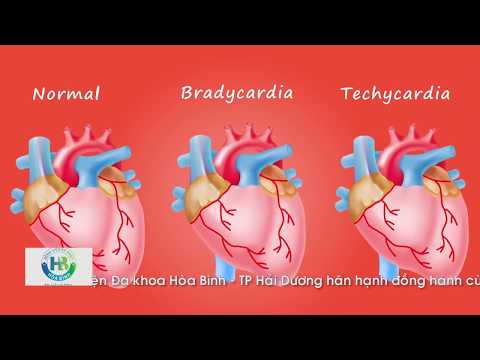 Video: Động Vật Nào Có Nhịp Tim Chậm Nhất