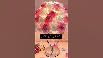 تلاوه تريح القلب❤️حالات واتس اب صباحيه قران❤️صباحيات قران🌹صباحيات دعاءاستوريات صباحيه قران#صباحيات