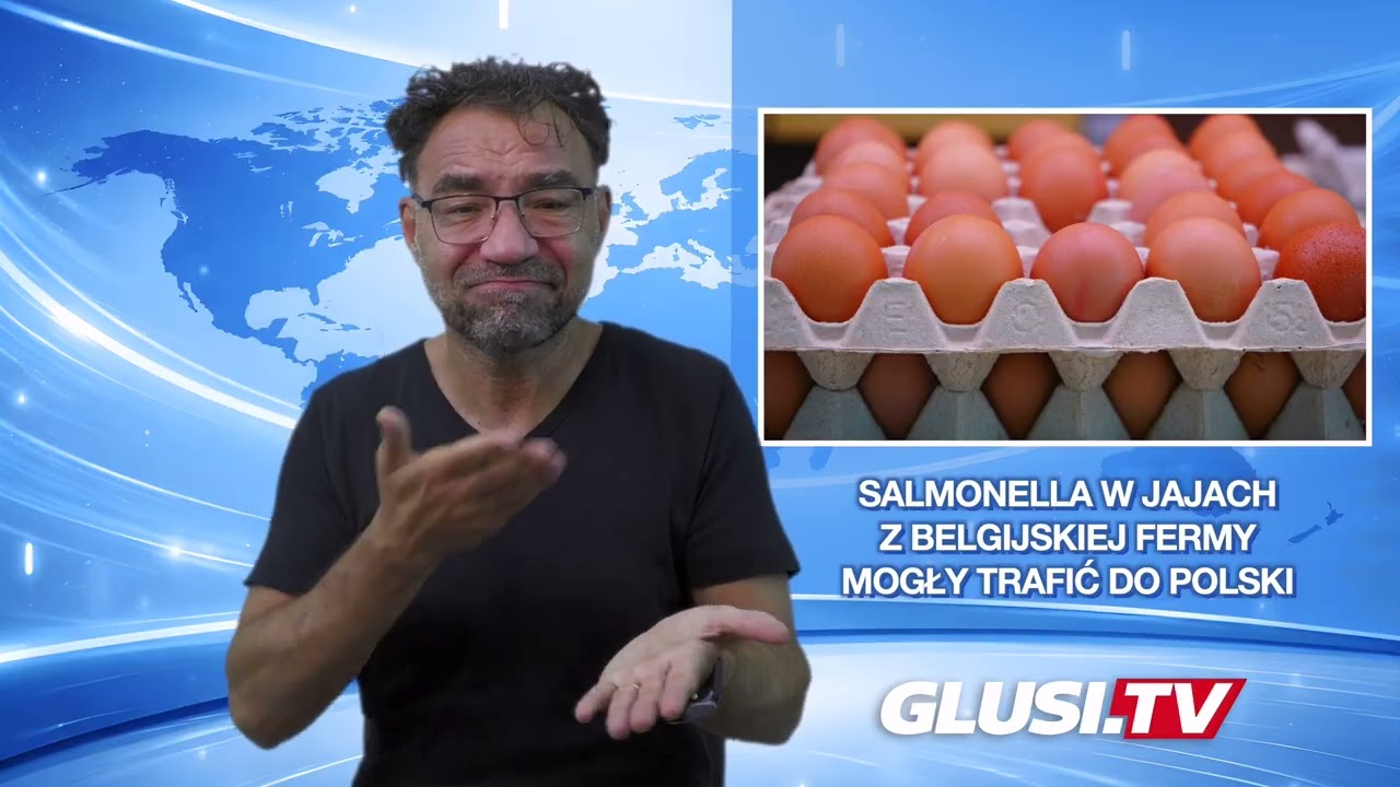 Salmonella w jajach z belgijskiej fermy - mogły trafić do Polski