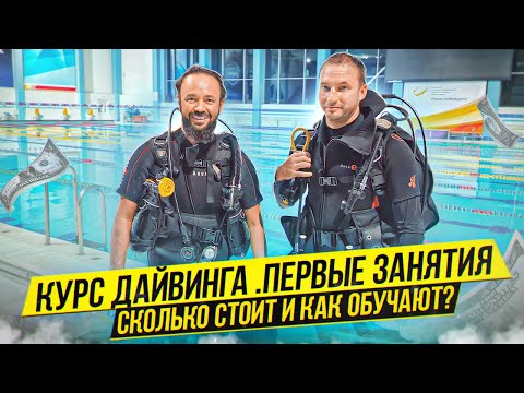 Курс дайвинга. Сколько стоит и как проходит обучение ? Основные правила подводного плавания 18+