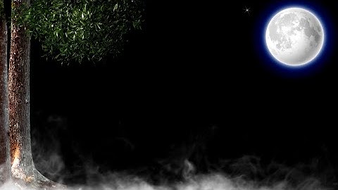 Moving Tree Leaves Black Screen Background Video Effects HD