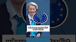🇪🇺🇩🇪 German Green MEP Hannah Neumann on European unity