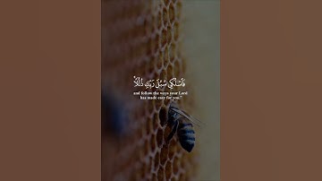 ( وأوحى ربك إلى النحل ) القارئ رعد الكردي | حالات واتس