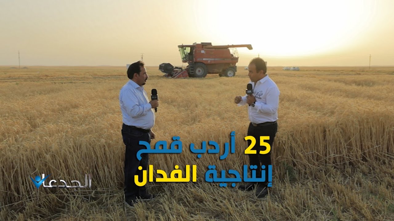 كبرى الشركات السعودية في المجال الزراعي تستثمر في مصر | الجدعان - Algedaan