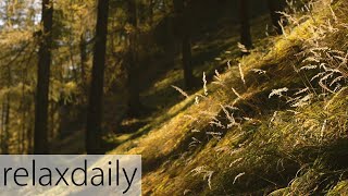 Relaxing Piano Music - smooth, yoga, study, relax – relaxdaily N°094 Resimi