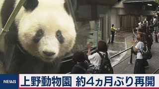 上野動物園が約４ヵ月ぶりに再開　パンダの観覧は１人１回まで