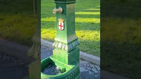 Che cos'è il drago verde?