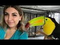 We adopted a TOUCAN!? TWO HUGE LIFE UPDATES!
