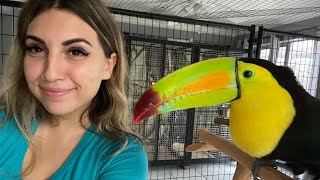 We Adopted A Toucan!? Two Huge Life Updates!