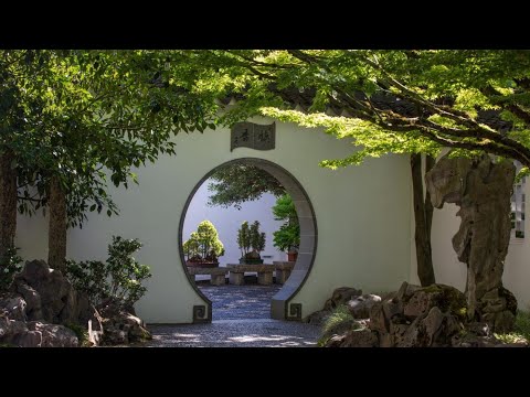 Video: Dott. Giardino cinese classico di Sun Yat-Sen: la guida completa