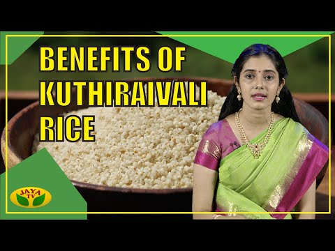 குதிரைவாலி அரிசியின் பயன்கள் | Benefits of Kuthiraivali Rice | Nutrition Diary | Jaya TV