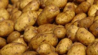 Watch Barleyjuice Potatoes video