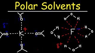 Polar Protic Solvents and Polar Aprotic Solvents For SN1 & SN2 Reactions screenshot 1
