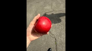 青森〜秋田への道中