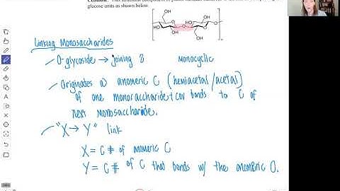 CHM4930 Formation of Glycoside Linkages Between Monosaccharides 081920