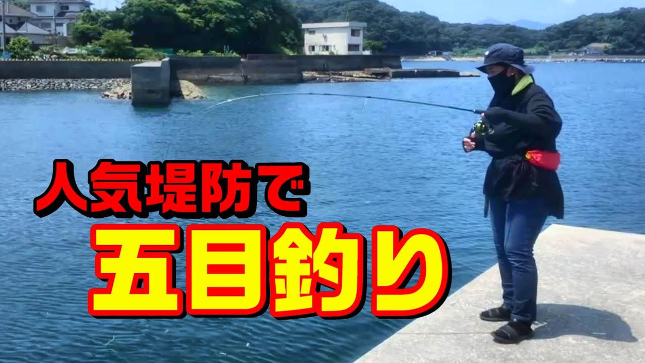 上天草の人気堤防で五目釣りしたらあの嬉しい魚が連発‼︎