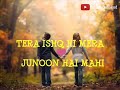 Tera ishq hi mera junoon hai mahi ❤️love wattsap status🧡