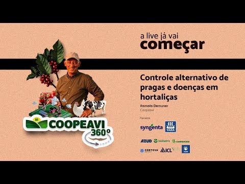 Vídeo: O Uso De Preparações à Base De Plantas Para O Controle De Pragas E Doenças De Culturas Hortícolas E Hortícolas