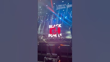 Thumbnail of Black Pumas - Colors (Lollapalooza Brasil 2022)