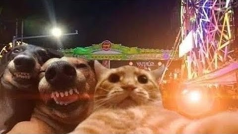 HOW TO DEPLOY HERMIT BOT ON PANEL|24×7|2025