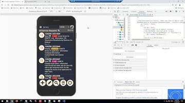 Siebel Friday 26-NOV-2021 - Papaya Whip