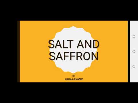summary of chp 1_2 of salt and saffron______by Kamila Shamsie summary of chp 1_2 of salt and saffron______by Kamila Shamsie